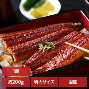 【1尾】特大鰻(約200g/尾) うなぎ かば焼き 国産 鰻蒲焼 冷凍 200g 目利き 厳選 大阪中央卸売市場 土用 Tokka 【TD】 【代引不可】