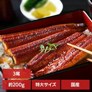 y3zVi200g/j Ȃ ΏĂ Y V Ⓚ 600g ڗ I 㒆s yp Tokka yTDz ysz