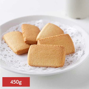 i󂠂jkCo^[NbL[ 450g SM00011370NbL[ o^[NbL[ Ăَq TNTN rXPbg  킯 َq  e