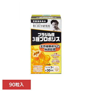 �u���W���Y3��v���|���X90T�i400mg×90���j �T�v�� �v���|���X �� ���� �yB�z