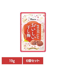 【6個】まるごとおいしい干し梅 19g カンロ かんろ kanro 梅 梅干し お菓子 おやつ 間食 種なし まとめ買い