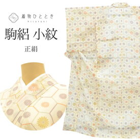 リサイクル着物 小紋 夏物 夏着物 正絹 美品 仕立て上がり 裄66.5cm 身丈159.5cm M ベージュ色系 菊亀甲文様 駒絽 tt0367b【中古】