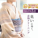 着物クリーニング 宅配 丸洗い 染み抜き 見積無料 オゾン 消臭 正絹 きもの 洗い シミ抜き 着物 クリーニング 洗濯 メンテナンス お手入れ 和服 衣替え 振袖 訪問着 留袖 小紋 紬 色無地 付下げ 帯 七五三 袴 男性着物 sin1584