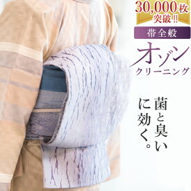 帯 クリーニング 帯 丸洗い 業界初 オリジナル【オゾン京洗い】 sin1585 着物 【S】