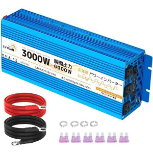 LVYUAN gCo[^[ 3000W 12V 24V NEW