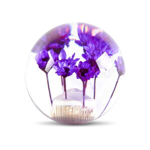 MUTEKI  Vtgmu ی^ MAmu NX^ ėp MAo[wbh {[^ AT MT ԗp YԂɑΉ 3ރA_v^[t