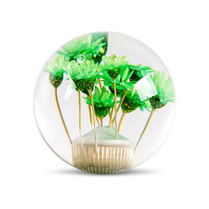 MUTEKI  Vtgmu ی^ MAmu NX^ ėp MAo[wbh {[^ AT MT ԗp YԂɑΉ 3ރA_v^[t