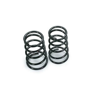 RS-R (�A�[���G�X�A�[��) �_�E���T�X RSR DOWN �v���T�[�W�� �yTU31�z 2500 NA 18/5~21/8