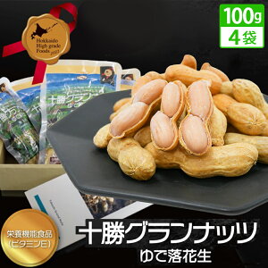 \Oibc ŗԐ 400g (100g×4) kt V 2025NxY { Y kCY gg h{@\Hi (r^~E) k̃nCO[hHi kC헪앨 