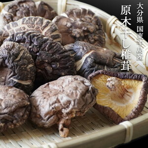 Y BY 啪Y  ő ő 60g 啪 E_ƈYF YI   ő   o` _V  ϕ X[v VC^P [