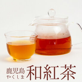 送料無料 屋久島 和紅茶 茶葉 100g×2袋 (200g) お茶