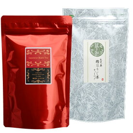 鹿児島茶セット ティーバッグ 20P (棒ほうじ茶 3g×10P + べにふうき和紅茶 2g×10P ) 日本茶 国産 焙じ茶 紅茶 メール便 送料無料