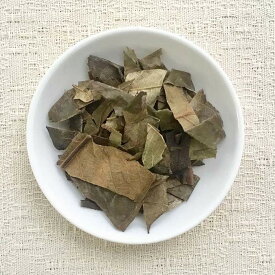 ビワ（枇杷）葉 100g ◆ 草木染染料（材料）植物・天然染料