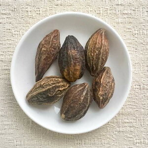 ミロバラン 100g ◆ 草木染染料(材料)植物・天然染料