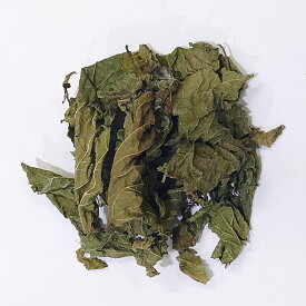 クワ（桑葉） 50g ◆ 草木染（材料）天然・草木染植物染料