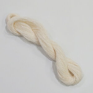 Fiؐ^ߗpjp̘a(X^Cv)@a100