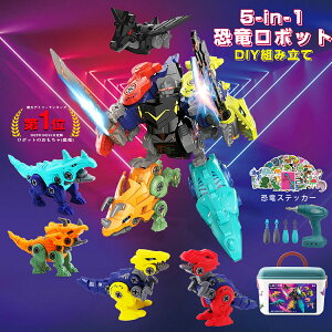 _^yV1ʁ  gݗĂ 5_Zbg 5in1{bg DIỸpY  eBmTEX a ǂ̓ NX}X v[g w