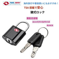 ＼メール便送料無料／TSAロック 南京錠 鍵式 2枚入り 海外旅行 空港検閲 荷物検査 ダイヤル不要 予備鍵付…
