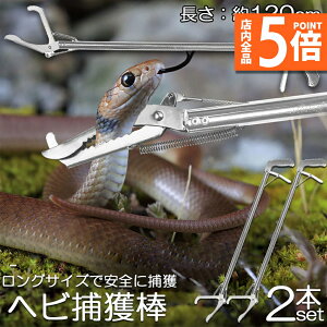 P5{ X[p[Z[wrߊl_ 2{Zbg wr ߊl  ܂肽 wrߊl gO  ւ nu ގ ߊl ߊl_ ΍  쏜 Aj}Lb`[ @ Xl[NLb`