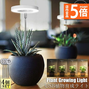 Ԍ|Cg5{LEDA琬Cg A琬Cg Aɍ 4_Zbg 4iK LED ACg A琬v ϗtApCg ͔|v I/It^C~