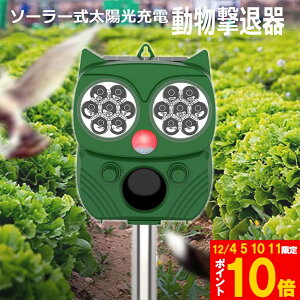 Ԍ!|Cg5{10{ފ Qbފ g tbVCg x L͈ ZT[ \[[ z USB[d h 5[h L  lY~  Qb 悯 ȒP ݒu K[f