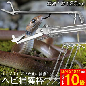 Ԍ!|Cg5{10{wrߊl_ 4{Zbg wr ߊl  ܂肽 wrߊl gO  ւ nu ގ ߊl ߊl_ ΍  쏜 Aj}Lb`[ @ Xl[NL