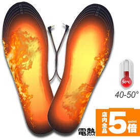 ★期間限定！ポイント5倍★中敷き 電熱インソール ヒートインソール USB加熱式 足元暖める 防寒対策 冬要 電熱 防寒具 電熱ウェア 靴底 下着 フットウェア インソール 男女兼用 送料無料
