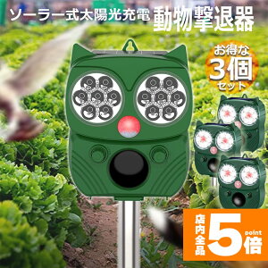 Ԍ!|Cg5{10{ފ Qbފ 3Zbg g tbVCg x L͈ ZT[ \[[ z USB[d h 5[h L  lY~  Qb 悯 ȒP 