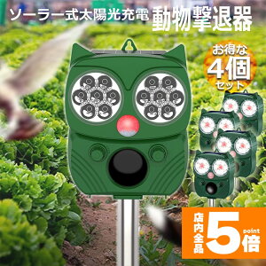 Ԍ!|Cg5{10{ފ Qbފ 4Zbg g tbVCg x L͈ ZT[ \[[ z USB[d h 5[h L  lY~  Qb 悯 ȒP 