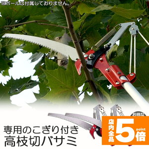 Ԍ!|Cg5{10{}؂oT~ 2Zbg [v }؂̂ }mRM }؂oT~ } y ͂ K[fjOpi  ʎ ̎ } nT~ 