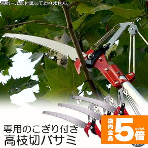 Ԍ!|Cg5{10{}؂oT~ 3Zbg [v }؂̂ }mRM }؂oT~ } y ͂ K[fjOpi  ʎ ̎ } nT~ 