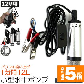 ★期間限定！ポイント5倍★ 水中ポンプ 12V 2個セット 小型 ウォーターポンプ 12L/min バッテリークランプ 電動 ポンプ ケーブル 3m スイッチ式 強力 給油 給水 排油 排水 灯油 海水 船舶 風呂 水槽 汚水バッテリー ク