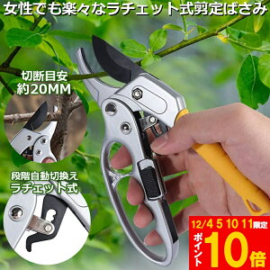 Ԍ!|Cg5{10{΂ `Fbg  |p͂ }؂΂ A~ `Fbg΂ ɂ y }  ~ 뉀 A  } K[fj