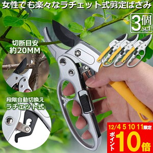 Ԍ!|Cg5{10{΂ `Fbg 3Zbg  |p͂ }؂΂ A~ `Fbg΂ ɂ y }  ~ 뉀 A  } K