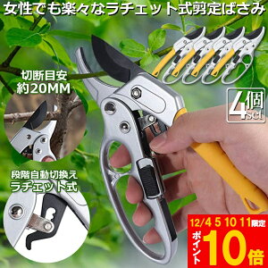 Ԍ!|Cg5{10{΂ `Fbg 4Zbg  |p͂ }؂΂ A~ `Fbg΂ ɂ y }  ~ 뉀 A  } K