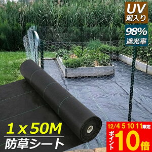 Ԍ!|Cg5{10{hV[g 50m X 1m V[g |pV[g GV[g UVܓ  _ ƒp |p  Gʐ  Y K[fjO ԏ ƒ؉ ϋvN