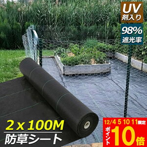 Ԍ!|Cg5{10{hV[g 100m X 2m V[g |pV[g GV[g UVܓ  _ ƒp |p  Gʐ  Y K[fjO ԏ ƒ؉ ϋvN