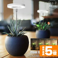 ★期間限定！ポイント5倍★ LED植物育成ライト 植物育成ライト 鉢植えに差し込む 4段階調光 LED 植物ライ…