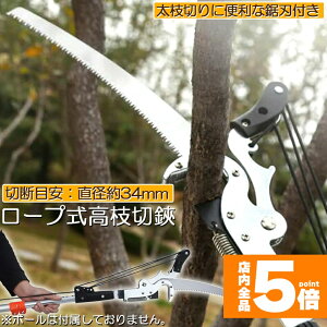 Ԍ!|Cg5{10{}؂oT~ }  }؂ }΂ [v }؂̂ }mRM }؂oT~ y ͂  ʎ ̎ } nT