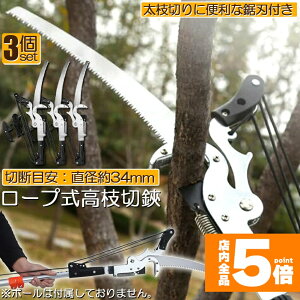 Ԍ!|Cg5{10{}؂oT~ } 3Zbg  }؂ }΂ [v }؂̂ }mRM }؂oT~ y ͂  ʎ ̎