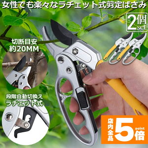 Ԍ!|Cg5{10{΂ `Fbg 2Zbg  |p͂ }؂΂ A~ `Fbg΂ ɂ y }  ~ 뉀 A  } K