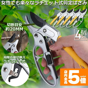 ���労�ӍՁI�|�C���g5�{������΂��� ���`�F�b�g�� 4�Z�b�g ������ ���|�p�͂��� �}�؂�΂��� �A���~ ���`�F�b�g������΂��� ����ɂ��� �y�� ���} ���� �~�� �뉀 �A�� ��� �} �K�[�f