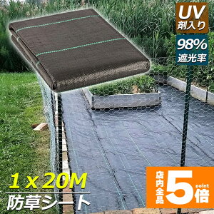 Ԍ!|Cg5{10{hV[g 20m X 1m V[g |pV[g GV[g UVܓ  _ ƒp |p  Gʐ  Y K[fjO ԏ ƒ؉ ϋvN