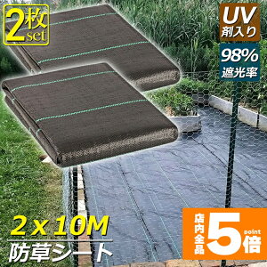 Ԍ!|Cg5{10{hV[g 10m X 2m 2Zbg V[g |pV[g GV[g UVܓ  _ ƒp |p  Gʐ  Y K[fjO ԏ ƒ