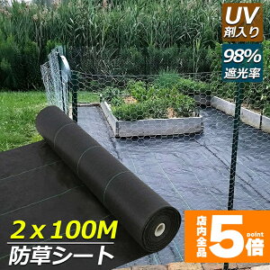 Ԍ!|Cg5{10{hV[g 100m X 2m V[g |pV[g GV[g UVܓ  _ ƒp |p  Gʐ  Y K[fjO ԏ ƒ؉ ϋvN