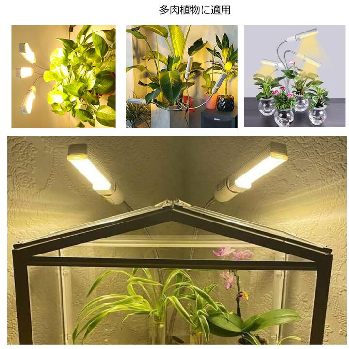 楽天市場】植物育成ライト 2個セット LED植物育成灯 ledライト 育苗 