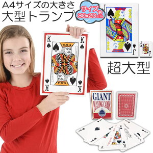 uLO܁Iv gv rbN gv ^ 傫 A4TCY gv gvJ[h   Vlz[ NG[V i oo x 唗 v[g Cx