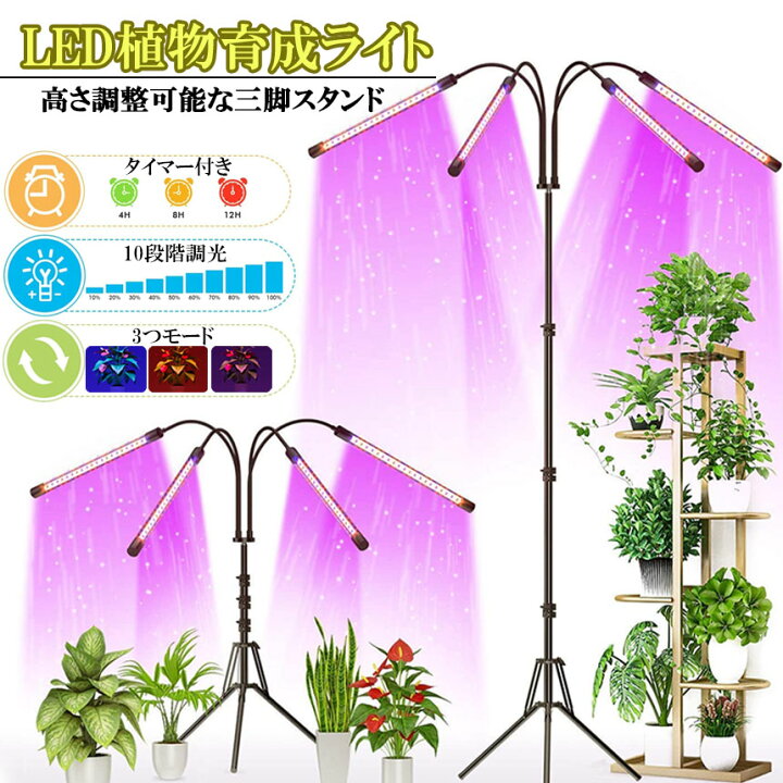 楽天市場】【エントリーで11/21〜11/27限定ポイント5倍！】植物育成 