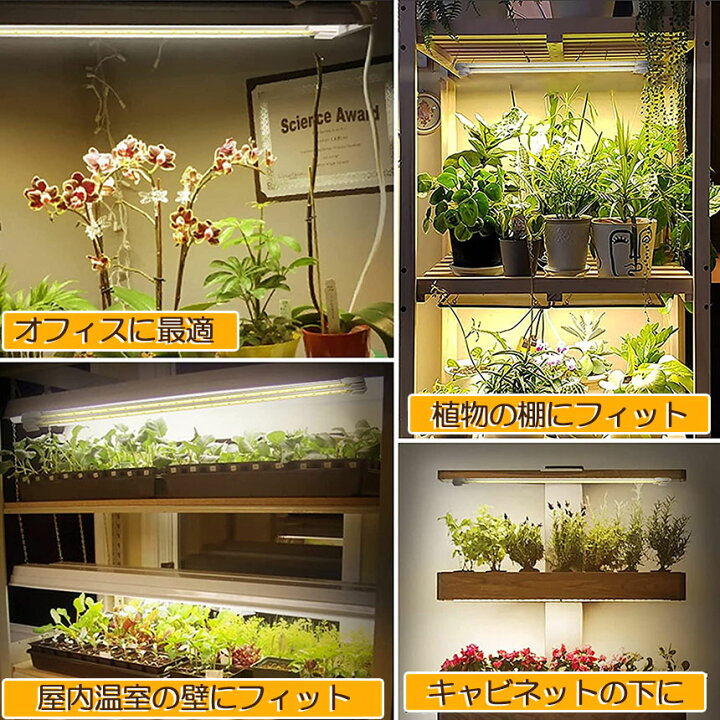 楽天市場】植物育成ライト LED育成ライト 3個セット タイマー 観葉植物 