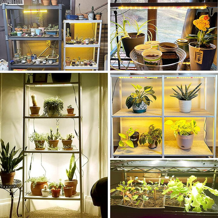 楽天市場】植物育成ライト LED育成ライト 2個セット タイマー 観葉植物 